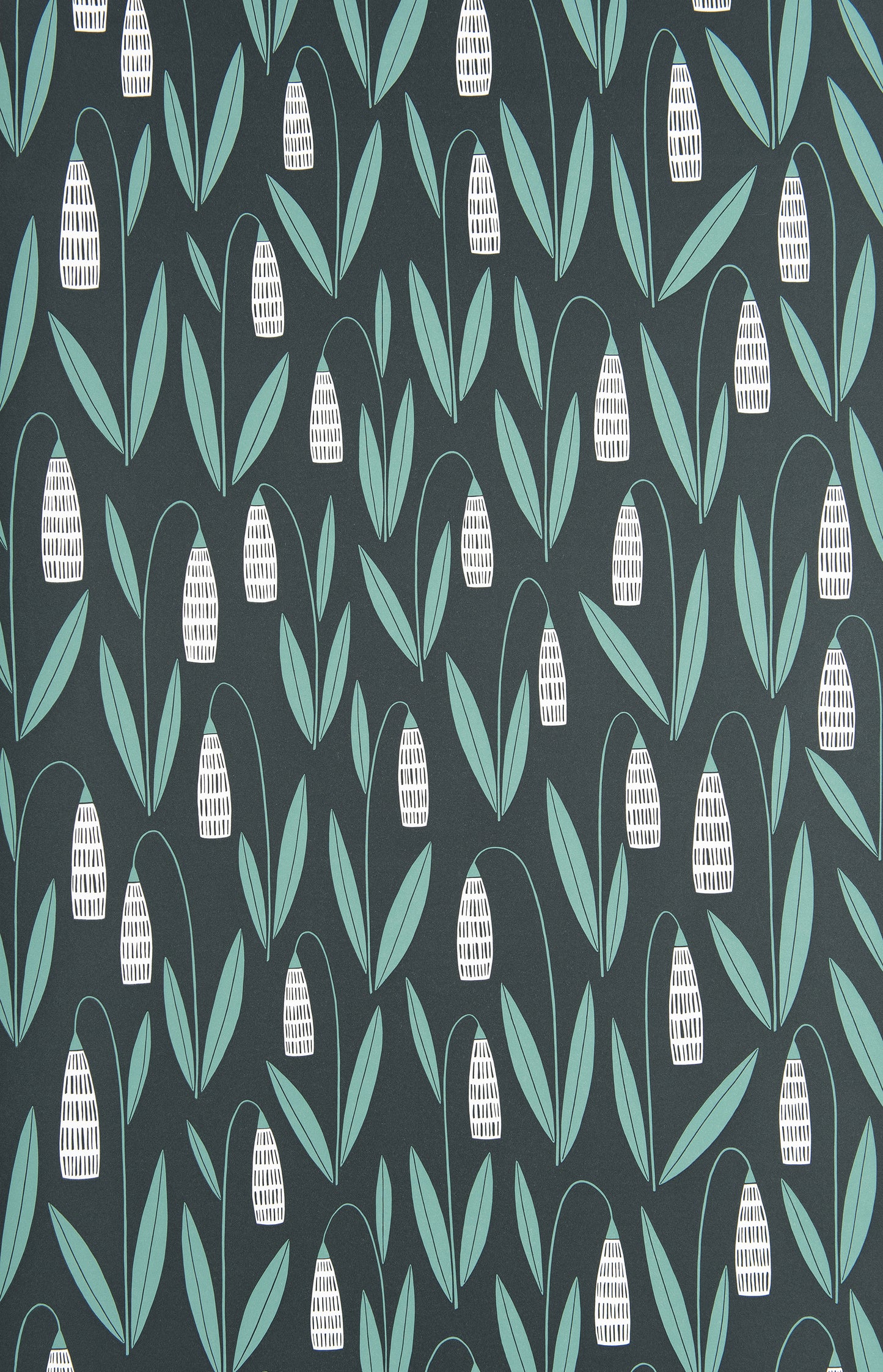 Snowdrops