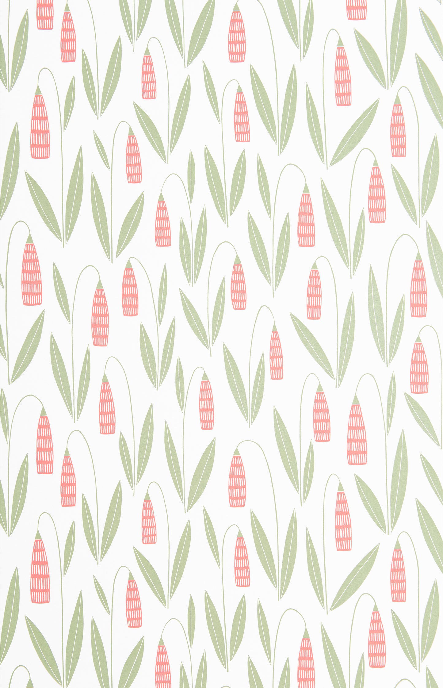 Snowdrops