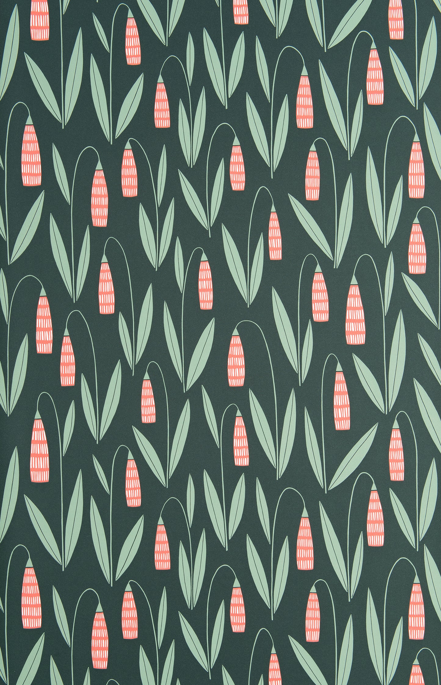 Snowdrops