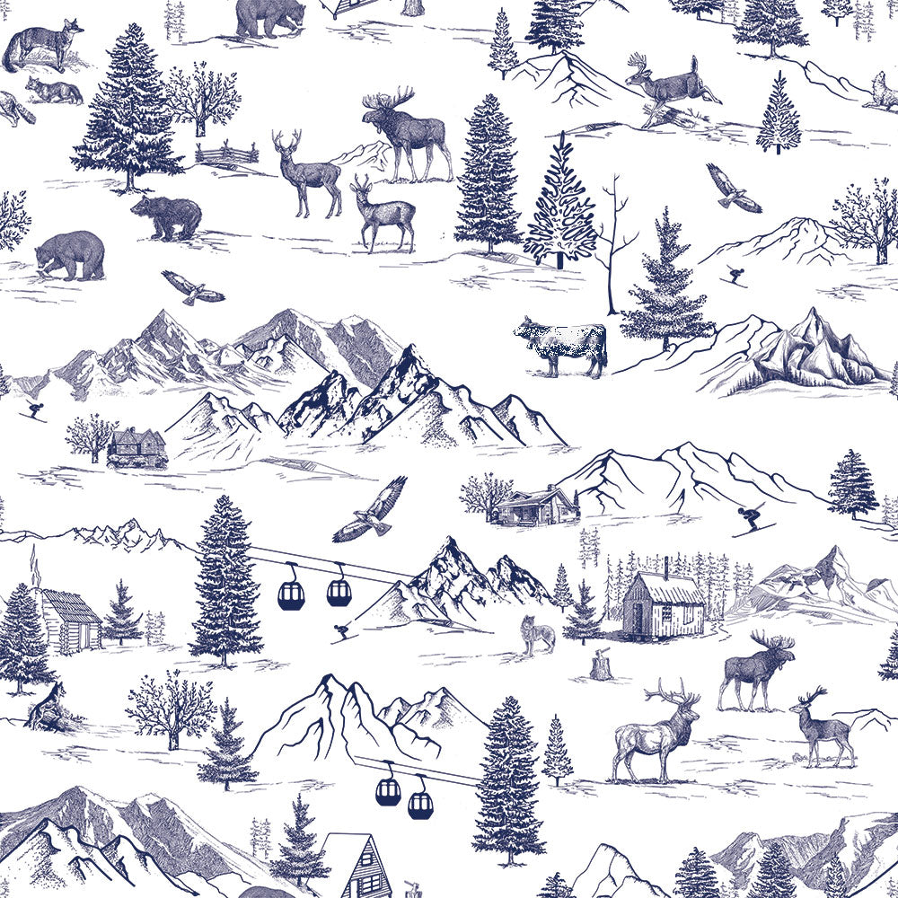 Toile