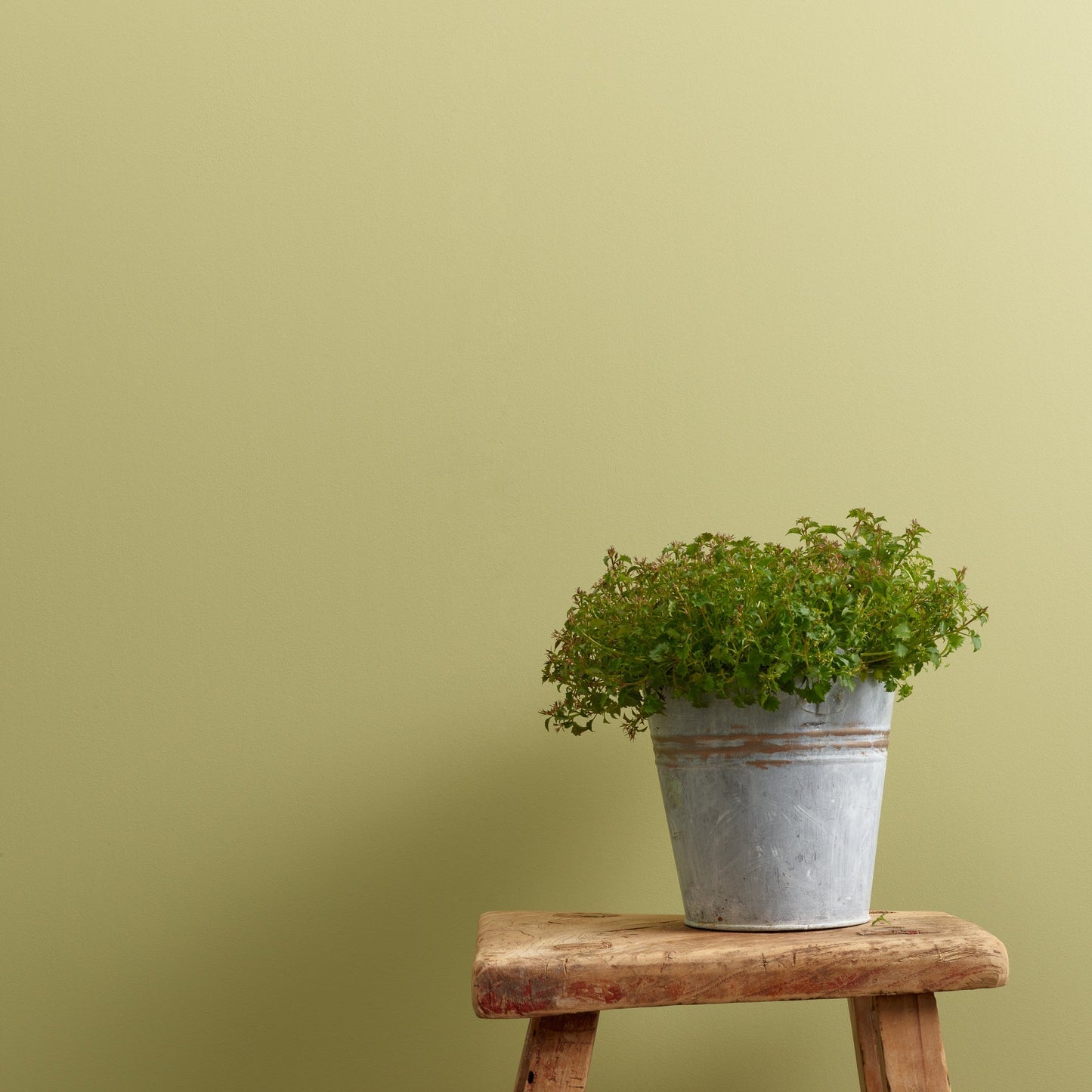 Apple Barn Wall Paint