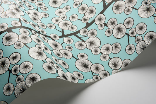 Cotton Tree