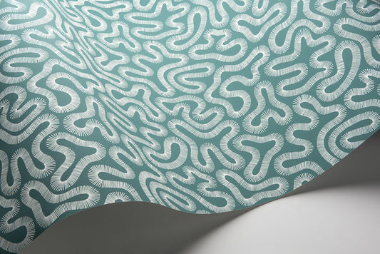 Coral